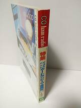 CQ ham radio　1995年10月号　デュアルバンドカートランシーバー徹底研究　430MHz伝搬通信実験結果　誘導雷の現象と被害対策_画像2