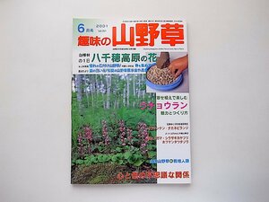 趣味の山野草2001年6月号●特集=白樺林　八千穂高原の花/ウチョウラン