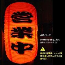 ちょうちん 提灯 たい焼 2個組 45cm×25cm レギュラーサイズ 文字両面 赤ちょうちん たい焼き/17_画像4