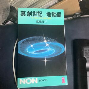 真創世記　地獄編　今，明かされた魂の真実 （ノン・ブック） 高橋佳子／〔著〕