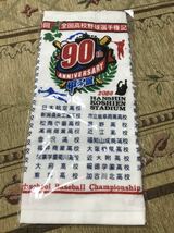 送料無料 高校野球 甲子園 2008年 出場校記念タオル 90th 大阪桐蔭 報徳学園 智弁 常葉菊川 駒大岩見沢 済美 鹿児島実 常総学院 横浜 北海_画像1