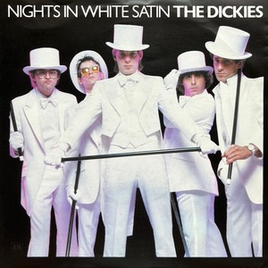 【試聴 7inch】The Dickies / Nights In White Satin 7インチ 45 LAパンク 初期パンク Moody Blues
