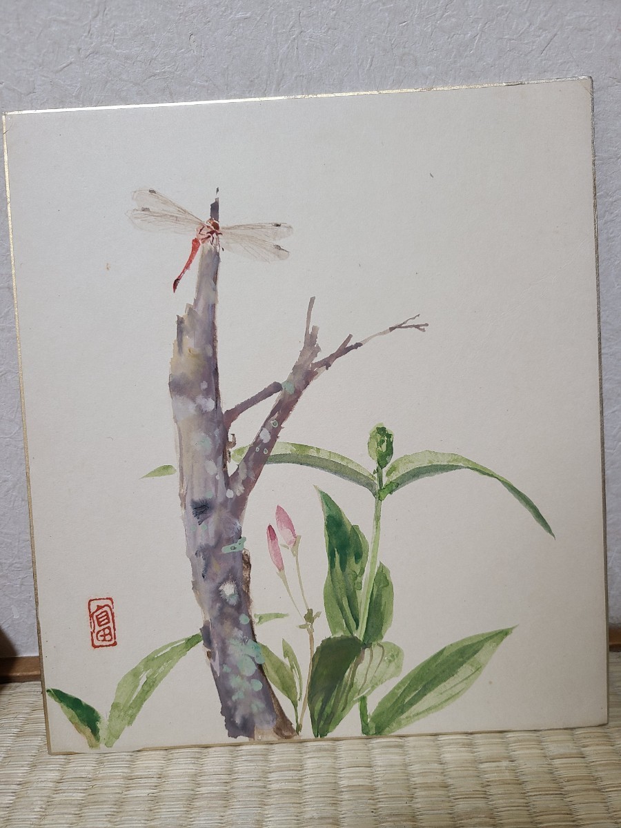 Véritable peinture japonaise par Fumio Mizuno Fumio Mizuno Shikishi Peinture aquarelle Libellule Libellule rouge Ustensiles de cérémonie du thé Cérémonie du thé Salle d'attente, Peinture, aquarelle, Nature, Peinture de paysage