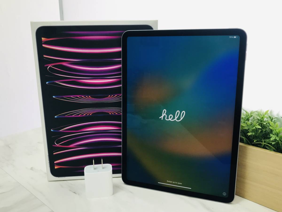 iPad Pro 11インチ第4世代256GB | 日本代購代Bid第一推介「Funbid」