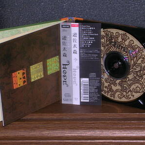 初回限定デジパック仕様帯付CD 遊佐未森／HOPEの画像3