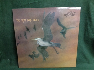 ANDREW CRONSHAW/THE GREAT DARK WATER●LP