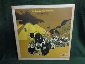 THE QUANTIC SOUL ORCHESTRA/STAMPEDE●LP