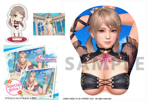 DEAD OR ALIVE Xtreme Venus Vacation ヴィーナス アクリル スタンド ボード フォトクロック ブロマイド 等身大マウスパッド エイミー