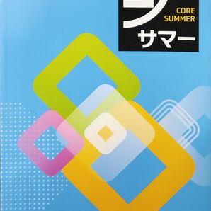 新品 小5 算数 夏期テキスト 夏休みの総復習 小学生ワーク 問題集 夏期講習　コアサマー　