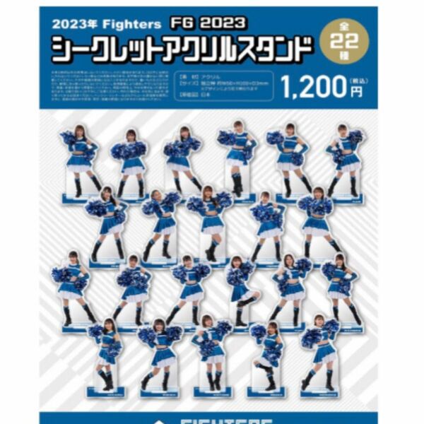 ファイターズガール　アクリルスタンド 新品未開封 3点　22種ランダム　滝谷美夢塩澤美咲他