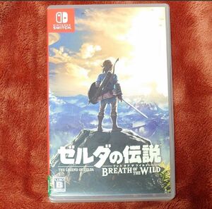 Switch ゼルダの伝説 ブレス オブ ザ ワイルド [通常版］ Nintendo ソフト zelda BREATH WILD