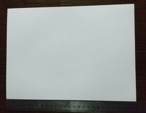 【新品】ALPS製 MDプリンタ用（昇華印刷） 光沢フォト用紙 レターサイズ Letter（279x216mm） 13枚