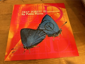 12”★Deep Forest III / Madazulu / Remix / Pablo Flores / B.B.E. / Phil Cat / プログレッシブ・ハウス！