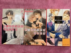 樹生かなめ 新書3冊：「酔っぱらったらものにしろ 」「酔っぱらってもお前だけ」「やれる時にやっておけ」