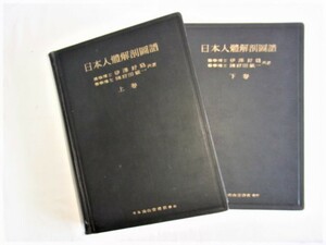 日本人體解剖図譜　上下巻　医博伊藤好為　國府田敏一共著　東京南山堂書店　上巻382項昭和12年10月28日　下巻253項昭和14年1月15日