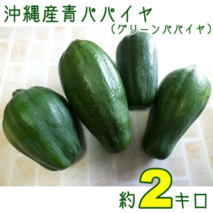 [ включая доставку ] Okinawa производство синий папайя примерно 2 kilo I зеленый папайя .so Muta m и т.п. как??
