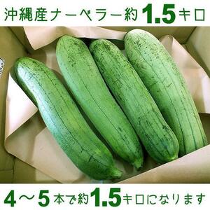 【送料込】沖縄産食用ヘチマ約１．５キロ┃ナーベラー(へちま)の味噌煮込みなどに┃「鍋洗い」から「ナーベーラー」と呼ばれるゆえん♪