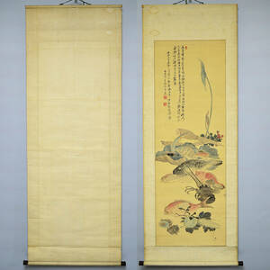 Art hand Auction Old hanging scroll from the second year of the Ansei era (picture of fish and vegetables) by Hoashi Kyou [copy] (no original box), Painting, Japanese painting, Flowers and Birds, Wildlife