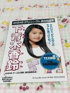 AKB48 公式生写真 ラブラドールレトリバー 下青木香鈴