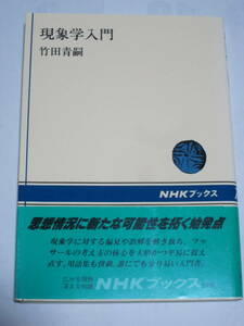 現象学入門　竹田青嗣：著　ＮＨＫブックス576