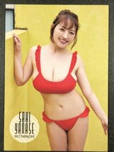 柳瀬 さき　セカンド　RG10　やなパイ　2nd 水着 グラビア アイドル トレカ トレーディングカード_画像1