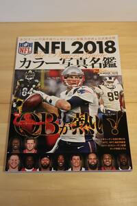 NFL 2018 цвет фотография название . Tom * Bray ti