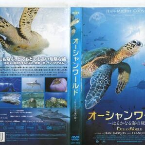 e0608 ■ケース無 R中古DVD「オーシャンワールド ~はるかなる海の旅~」 レンタル落ちの画像1
