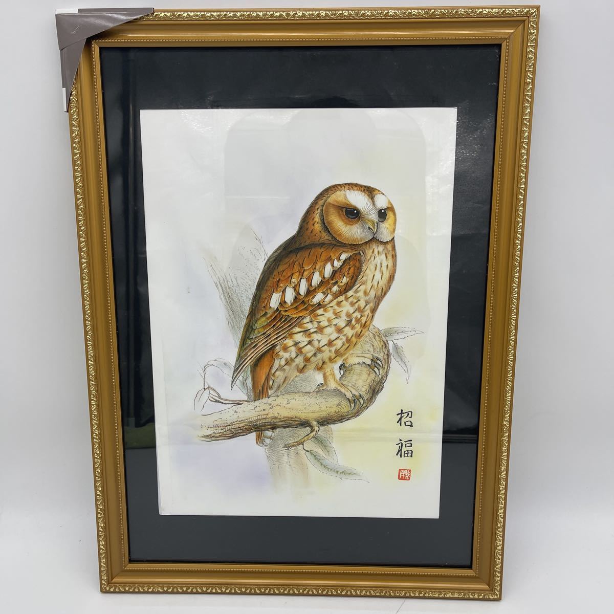 2023年最新】ヤフオク! -ふくろう 絵画(美術品)の中古品・新品・未使用