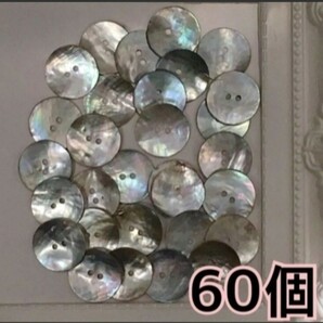 アコヤ貝 ボタン60個☆新品