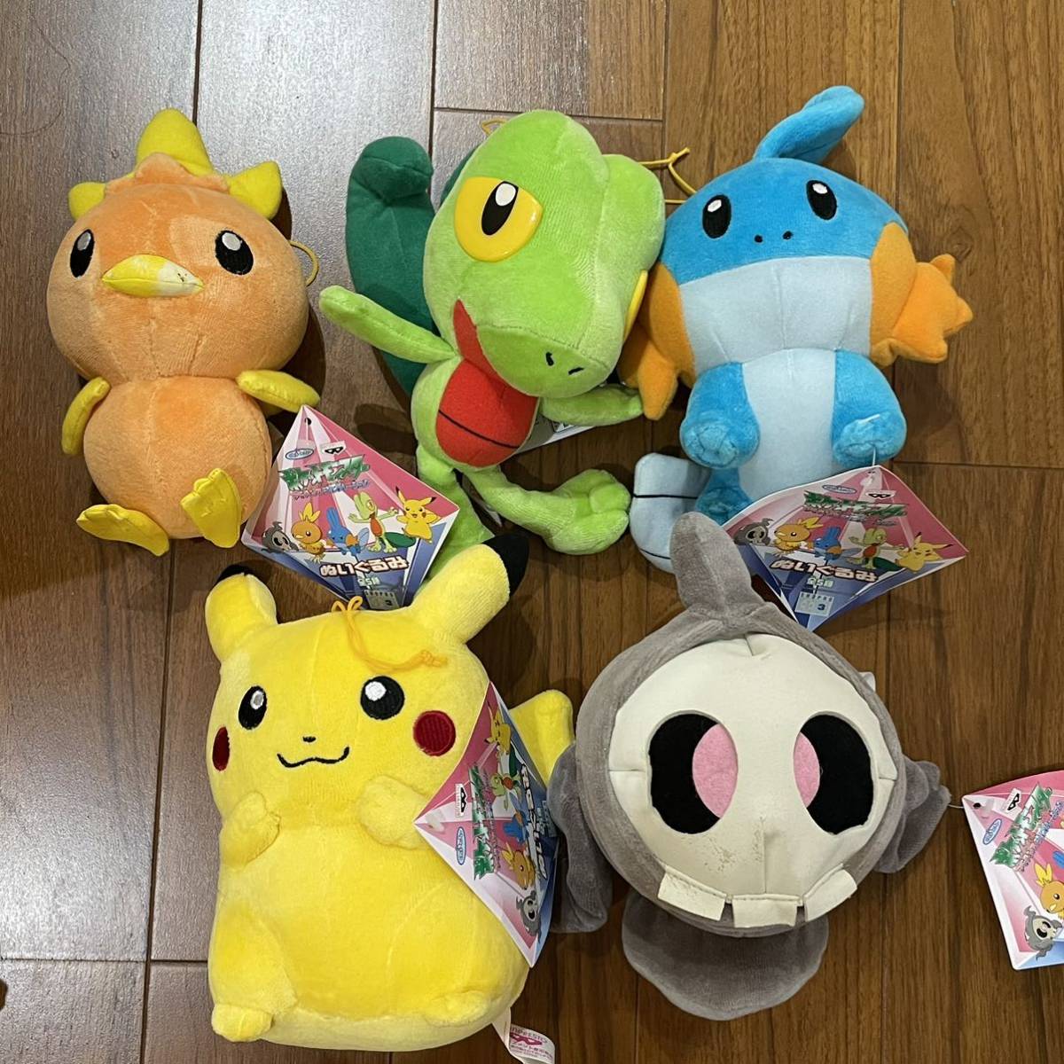 ヤフオク! -「ポケモン キモリ ぬいぐるみ」の落札相場・落札価格