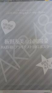 ☆ＡＫＢ４８　板野　小嶋　ポスター☆