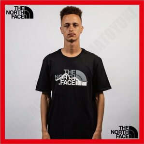 【海外限定】 サイズ：M TNF ノースフェイス MOUNTAIN LINE HALFDOME LOGO TEE BLACK ブラックの画像5