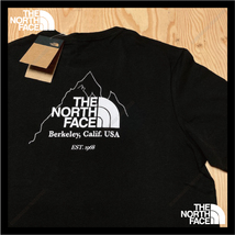 【海外限定】　サイズ：M　TNF　ノースフェイス　 Biner Graphic 4 TEE　ビナ　グラフィック　BLACK　ブラック_画像3