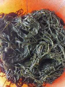 深浦岩もずく250g1p798円即決