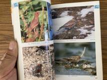 検索入門 野鳥の図鑑　全巻セット　水の鳥1,2 陸の鳥1,2　中村登流　保育社_画像4