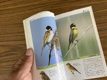 フィールドガイド 日本の野鳥_画像7