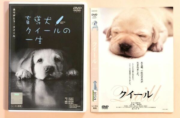 中古DVD 2作品　　盲導犬クイールの一生　クイール　　