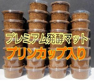 クワガタ幼虫を入れるだけ！　プリンカップ入りプレミアム発酵マット【10個セット】割り出し直後の個別飼育に！便利です！良く食べます！