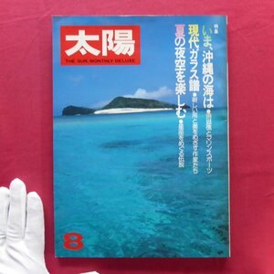 b18/雑誌「太陽」1981年8月号【特集：いま、沖縄の海は-珊瑚礁とマリンスポーツ/現代ガラス譜/夏の夜空を楽しむ】阿刀田高