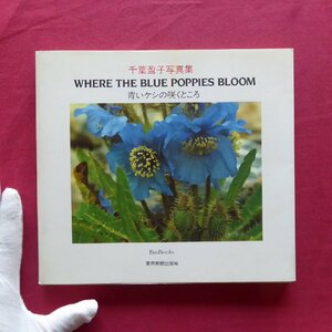 4/ Chiba .. photoalbum [ blue kesi. .. place :WHERE THE BLUE POPPIES BLOOM/ Tokyo newspaper publish department * Heisei era 2 year ]