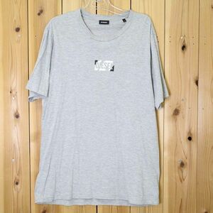 [PT11415] ディーゼル Tシャツ 半袖 クルーネック ロゴ グレー系 L DIESEL / 小型便OK