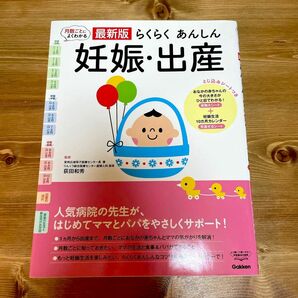 らくらくあんしん妊娠・出産 本