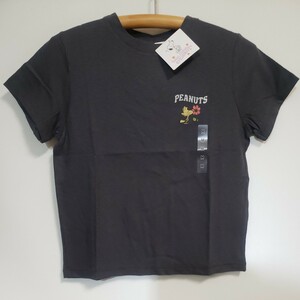 ピーナッツ　スヌーピー　ウッドストック　Tシャツ　シュローダー　ルーシー