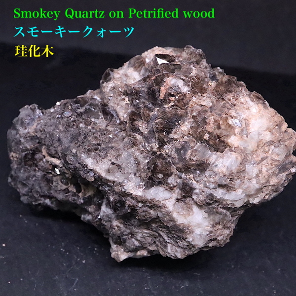 【送料無料】スモーキー クォーツ on 珪化木 煙水晶 236,6g SQZ077 鉱物　原石　天然石　パワーストーン