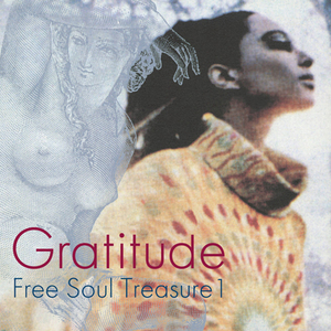 V.A. / GRATITUDE ~ SUBURBIA meets ULTRA-VYBE FREE SOUL TREASURE 1 (LP)