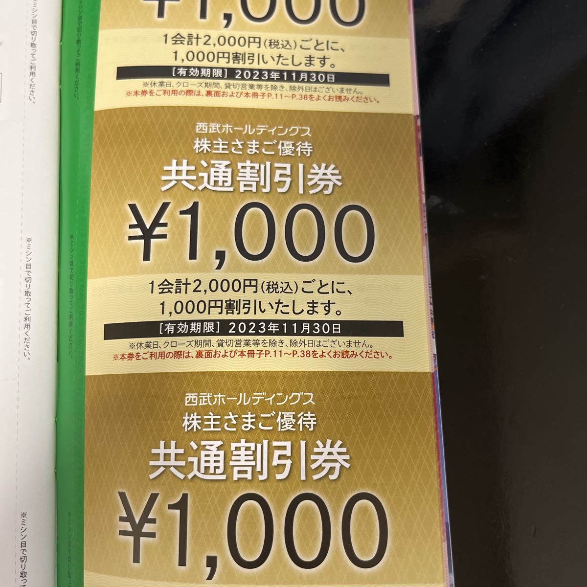 メーカー公式 西武ホールディングス株主優待券 dinogrip.com