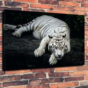 Art hand Auction Tiger White Tiger High Quality Canvas Art Panel Poster A1 Foreign Goods Animal Abstract Art Painting Large Goods Photo, Printed materials, Poster, others