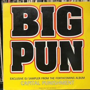 Big Punisher / Capital Punishment Album Sampler UK盤