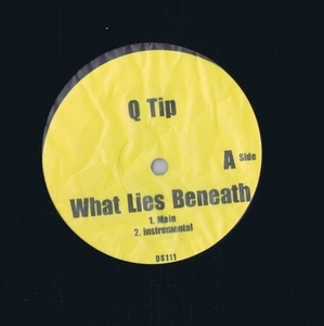 盤質良好 US盤 12inch Q-Tip, Mos Def / What Lies Beneath / Freak Daddy DS-111