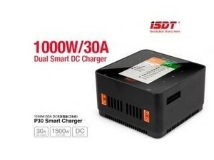 G-FORCE★[GDT112]★P30 DC Smart Charger★充電器